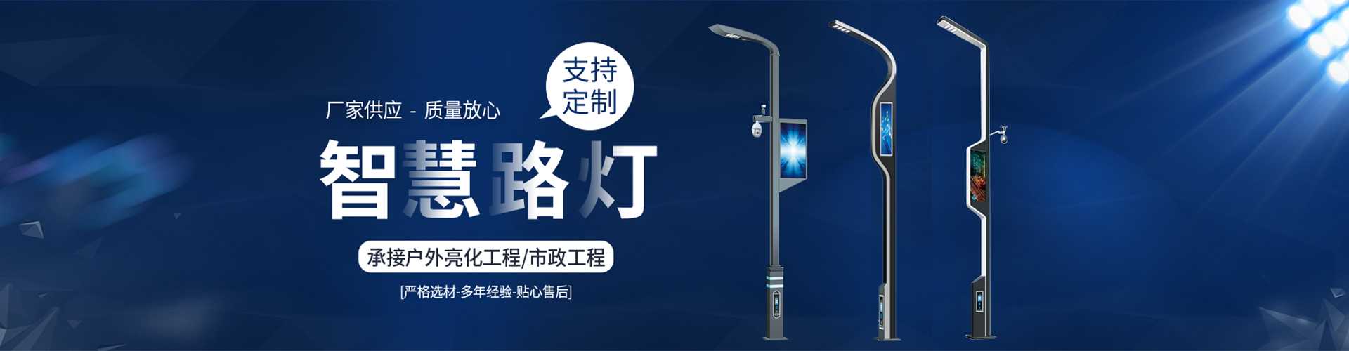 闵行区太阳能路灯定制厂家